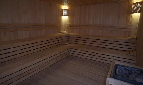 sauna-675bf1f2887a6